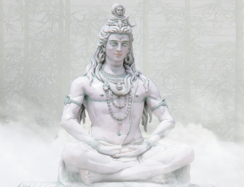 Shiva and his Many Forms