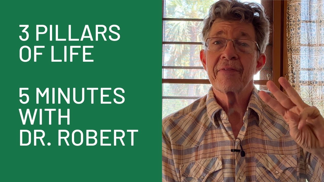 3-pillars-of-life-5-minutes-with-dr-robert